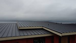 Roof Coating Services in Burlington, WA